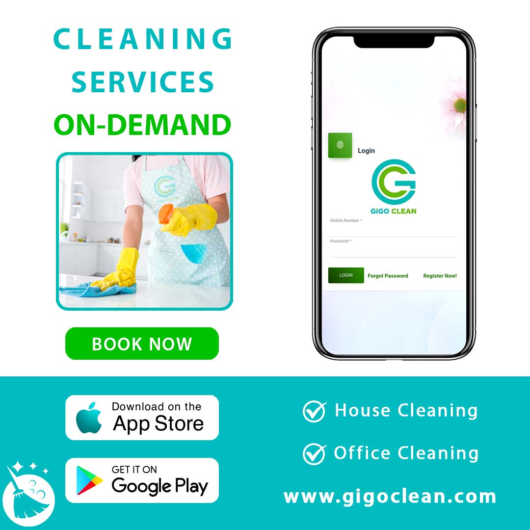 Why GIGO Clean Is Different