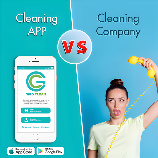 The GIGO Clean app